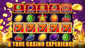 live sydney Dragon Tiger card layout and payout structure explained